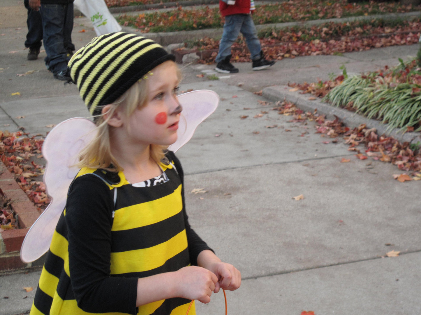 Bumble Bee Kids Halloween Costume, Girls Dress, Baby Costume, Toddler Costume, Honey Bee Costume, Animal Striped, Newborn - Girls 6